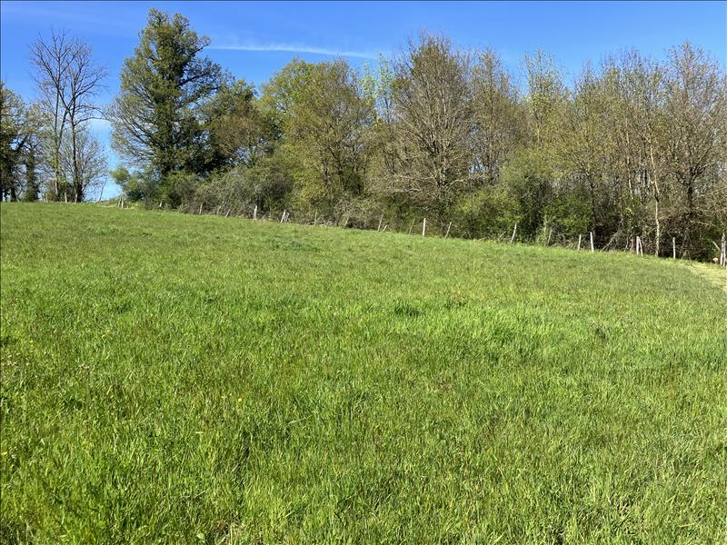 Terrain constructible 2316 m²