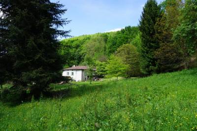 Vente Maison en pierre de 3 chambres à coucher avec un peu moins d'un hectare de terrain et un ruis