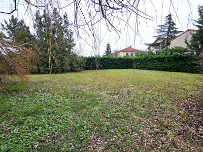 Terrain 984 m²