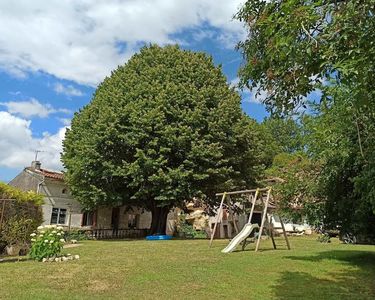 Charmante maison de 1900 à finir de rénover 