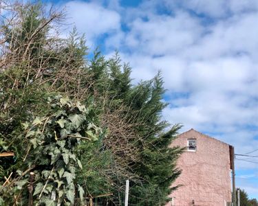 Maison individuelle avec jardin - Cusset centre