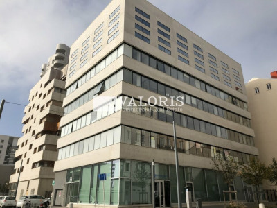 Immobilier professionnel Location Lyon 2e Arrondissement  150m² 3430€