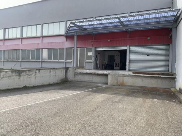 Local commercial 4800 m² 