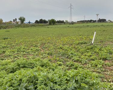 MAUGUIO, terrain agricole avec possibilité de construire