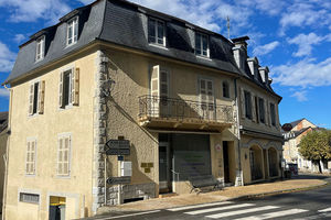 LASSEUBE - SUD BÉARN / MAISON DE VILLAGE 391M2 / 12 PIÈCES /