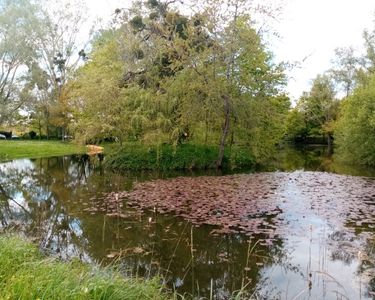 Etang. Havre de paix 