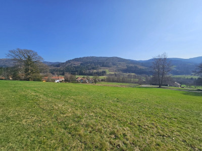 Terrain 3406 m²