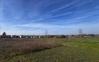 Terrain 5001 m²