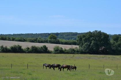 Belle Propriété Equestre sur 18 Hectares Attenant