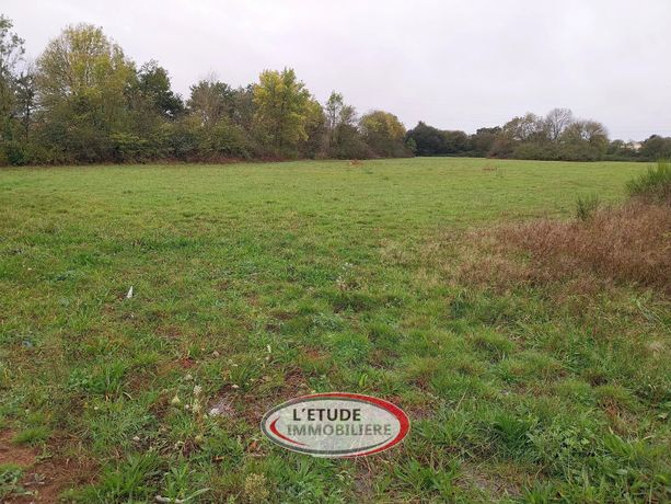 Terrain Vente Sainte-Pazanne  429m² 123500€