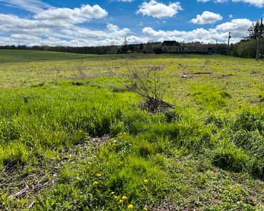 Terrain constructible