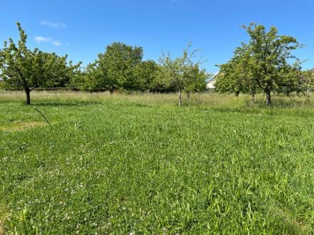 Terrain Vente Villers-sur-le-Roule  4000m² 90000€