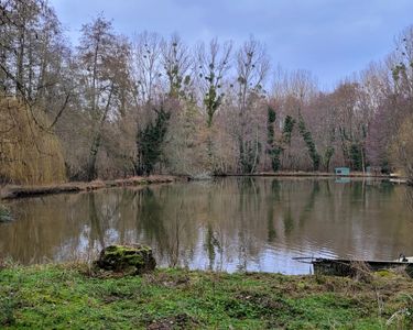 Parcelle en nature d'Etang