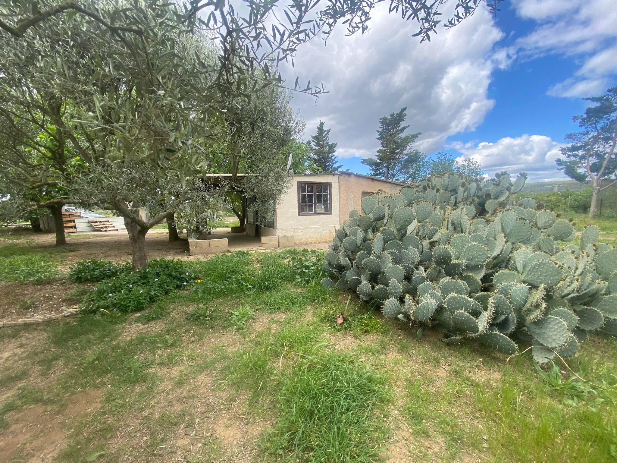 Mireval, Mazet cadastré sur terrain agricole de 3330 m2 