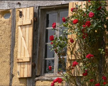 Maison de campagne avec terrain