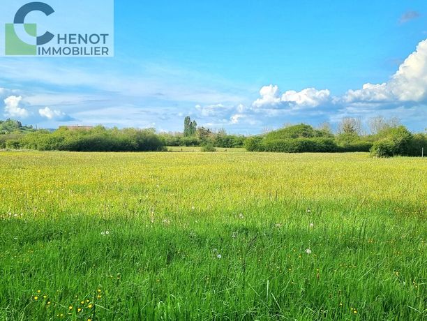 Terrain Vente Domgermain  20000m² 366930€