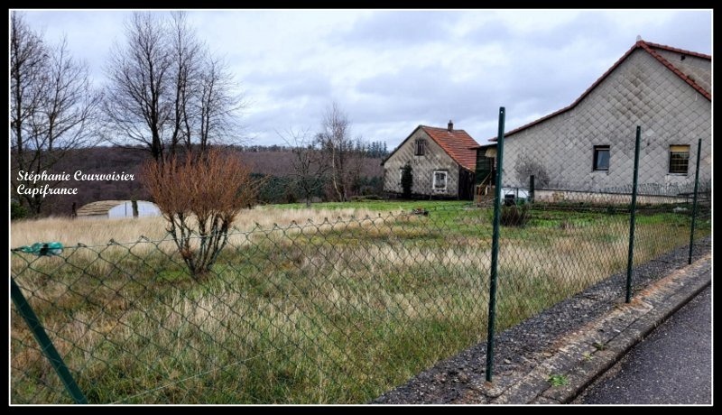 Dpt Moselle (57), à vendre LEMBERG terrain