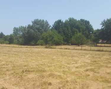 Terrain constructible 2506m2