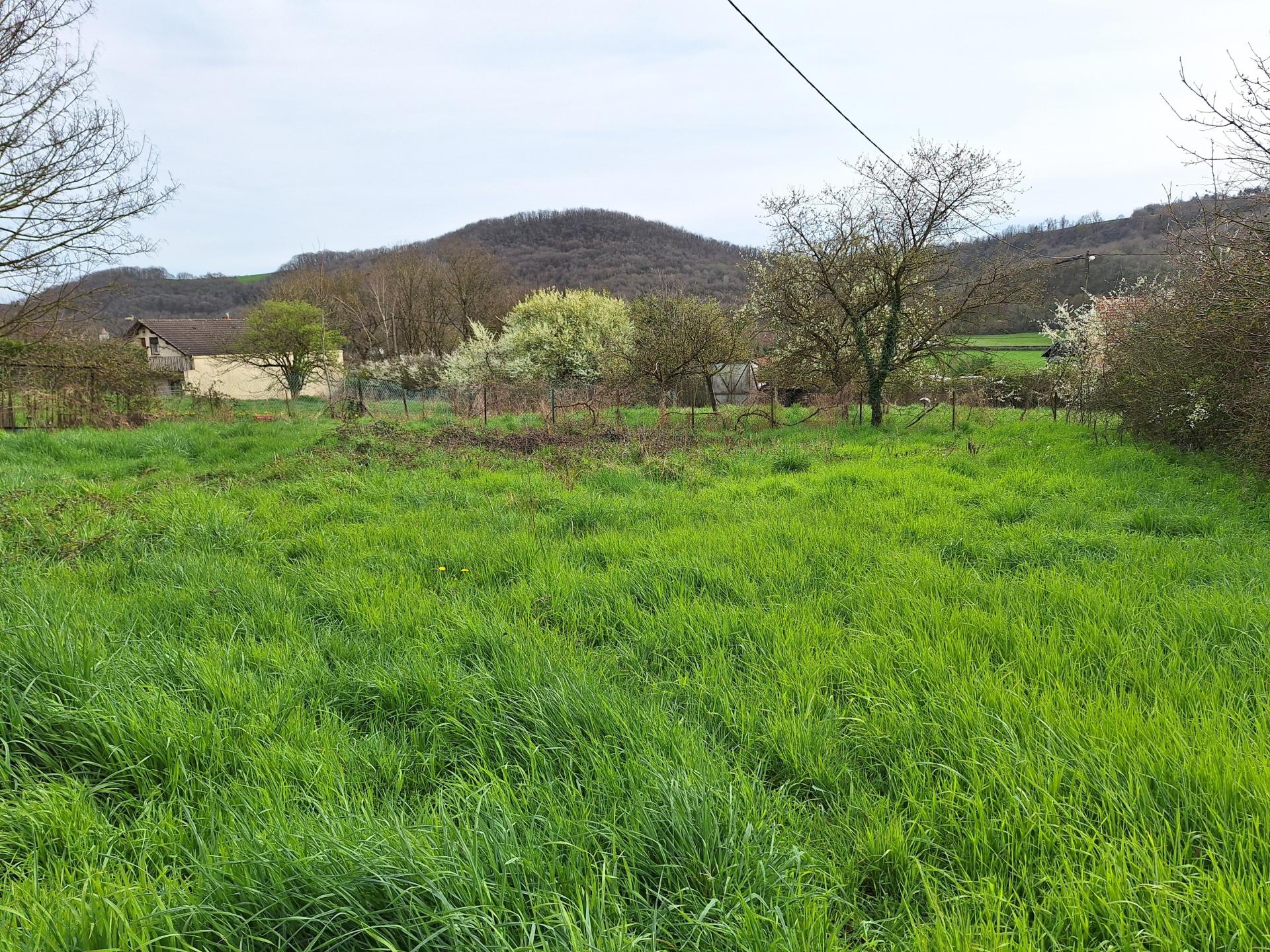 Terrain à bâtir