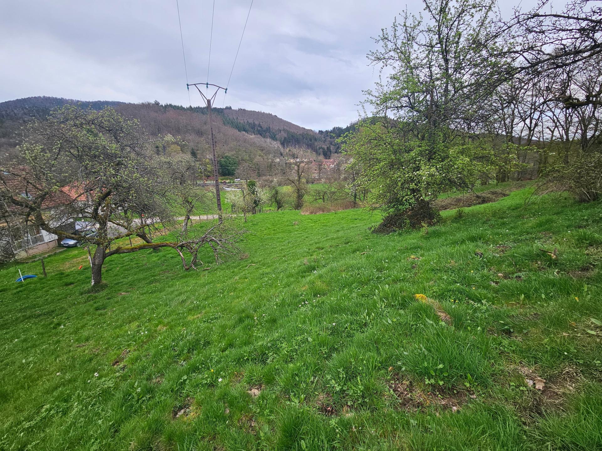 Terrain au calme de Masevaux !