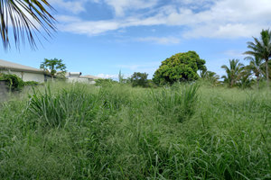 A LOUER- TERRAIN DE 1 896 M2 ENVIRON - SAINT PIERRE- 1 500EUR