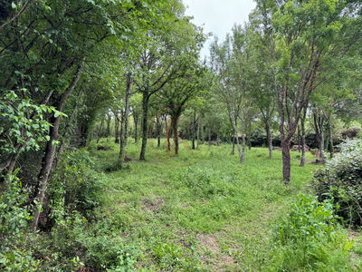 Terrain à bâtir de 1345 m2