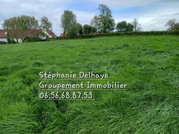 Terrain Vente Nielles-lès-Bléquin  1040m² 48000€