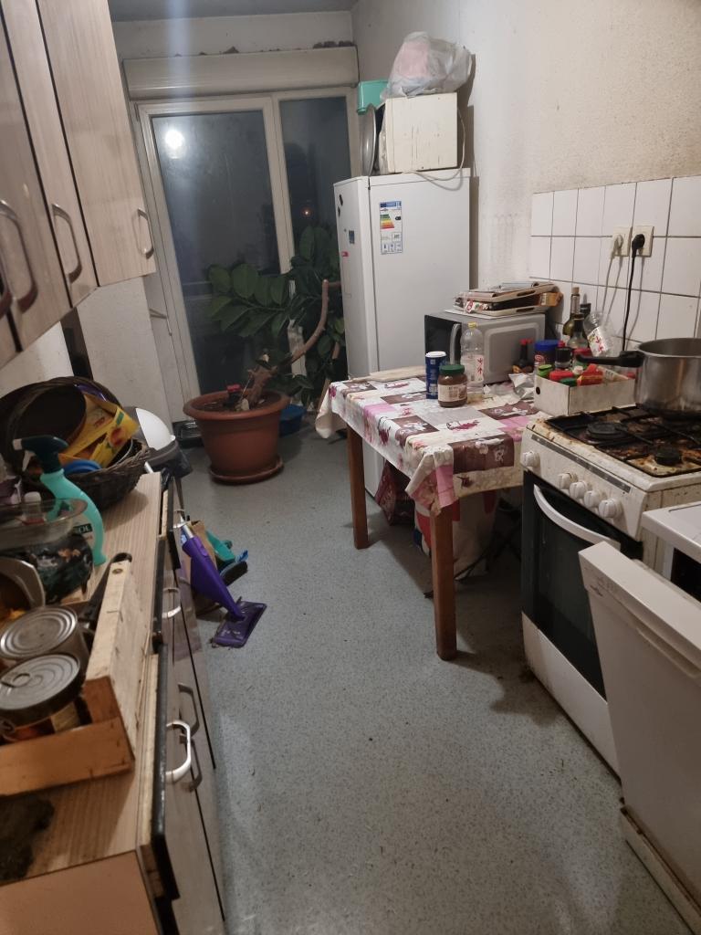 Colocation étudiante à Riedisheim : 1 chambre disponible