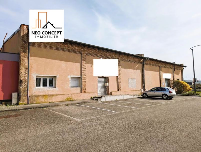 Immobilier professionnel Vente Bischwiller  1074m² 510000€