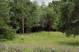 Terrain Vente Le Pian-Médoc  1000m² 250000€