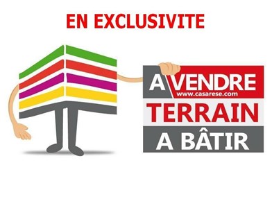 Terrain constructible