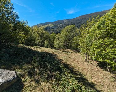 Terrain à valgorge 