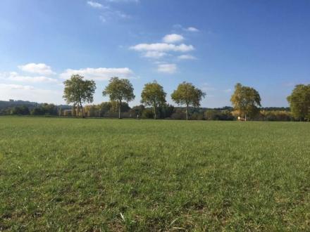 Terrain Vente Préserville  500m² 78000€