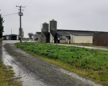 Exploitation agricole aviculture