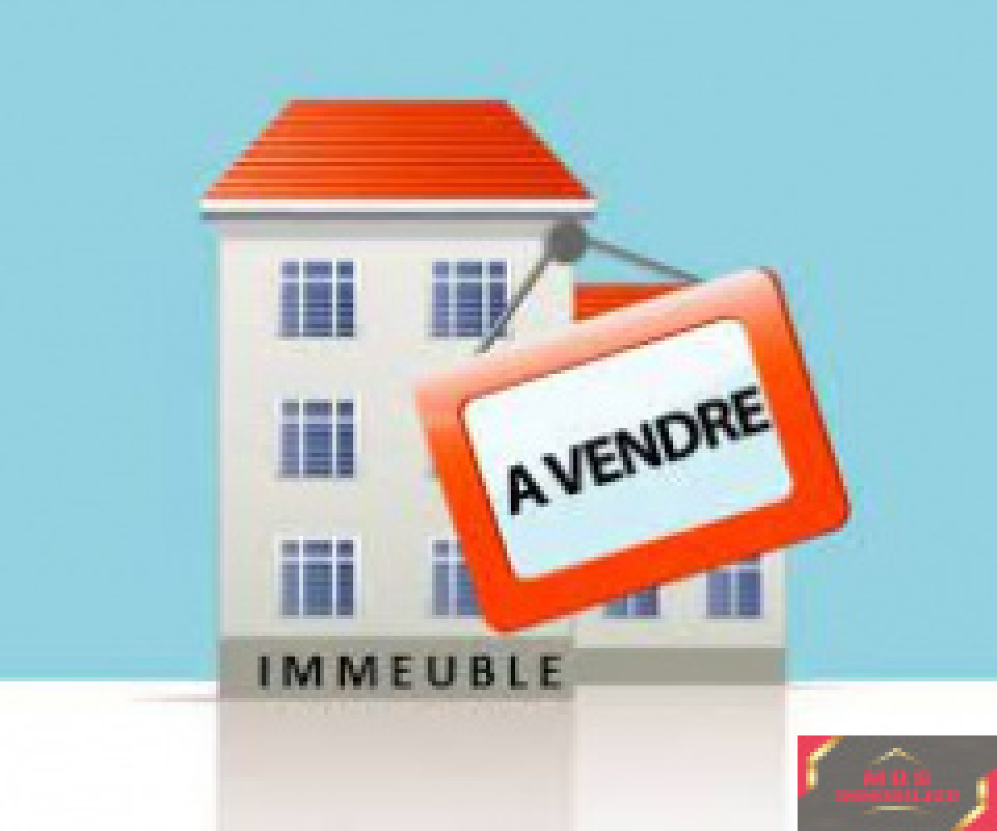 Vente Immeuble Argelès-sur-Mer