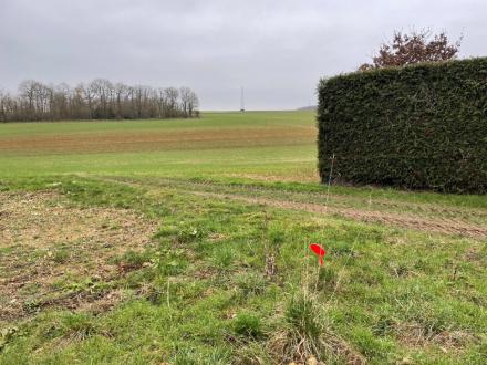 Terrain Vente Pressagny-l'Orgueilleux  1000m² 88000€