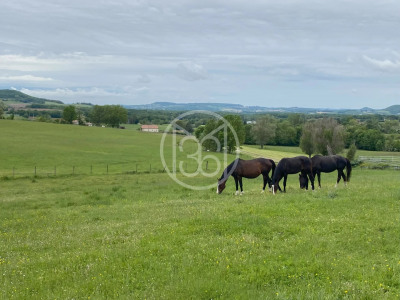 PROPRIÉTÉ 40 HA - 17 BOXES - BOIS PRAIRIES ET PISCINE - PENNE- D 