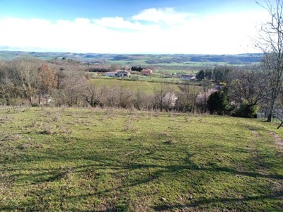 Terrain 3100 m²