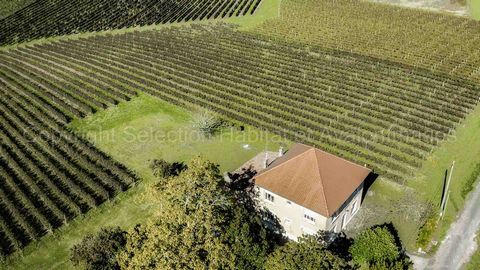 Maison de maître en pierre de 225m² sur un terrain