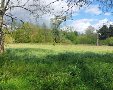 Terrain de loisir, prairie bord rivière