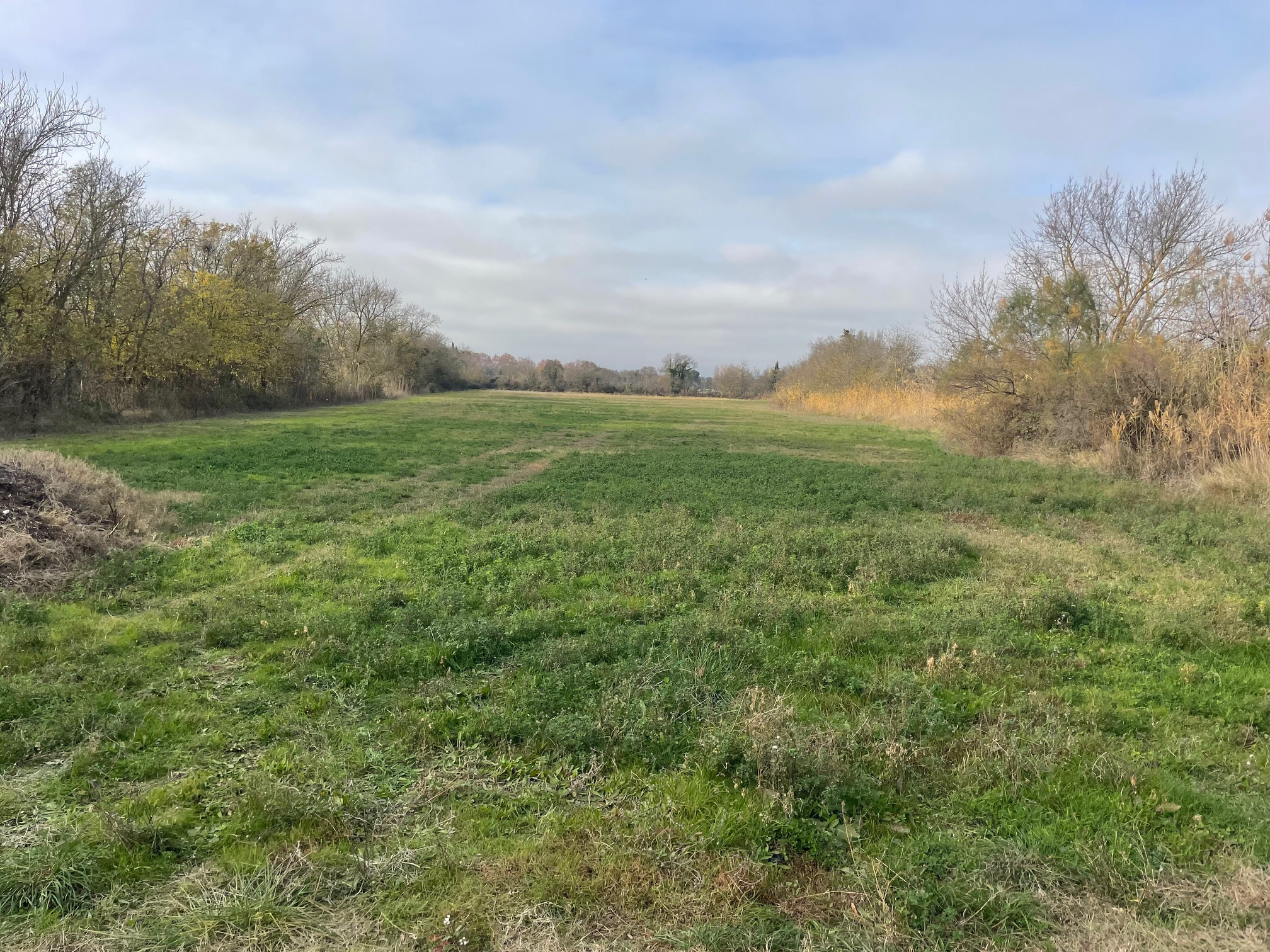 Mauguio : terre agricole à acheter 80400 EUR 