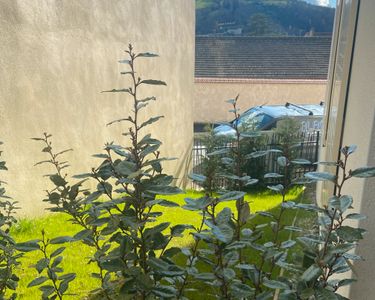 Appartement T3 Rez-de-jardin