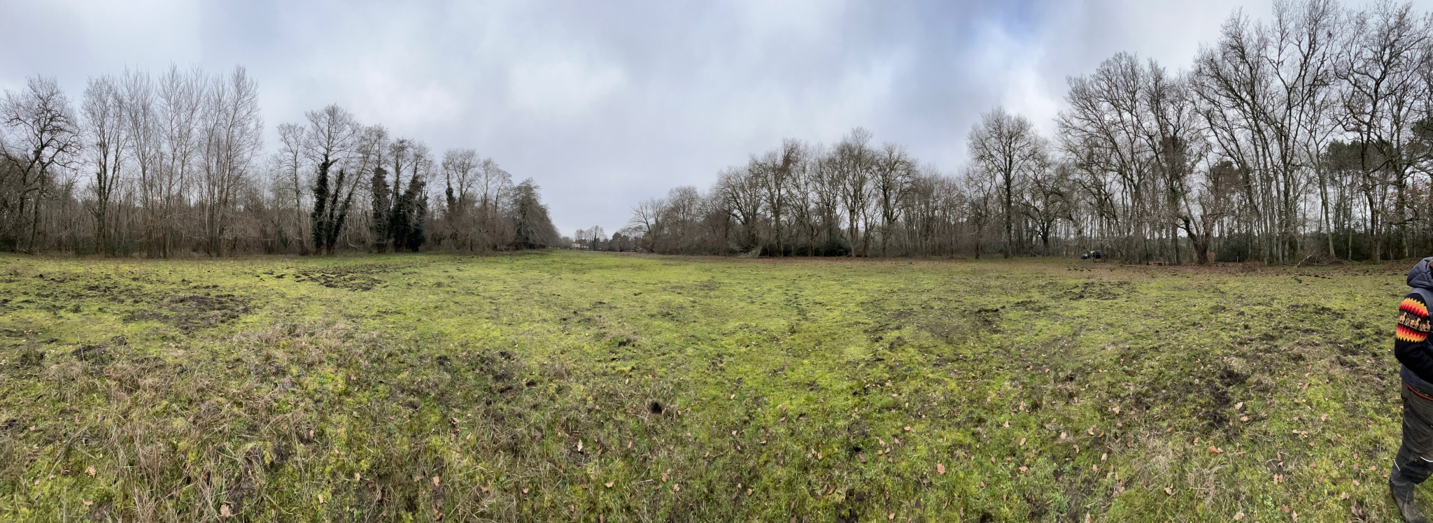 Terrain agricole en nature de prairie 