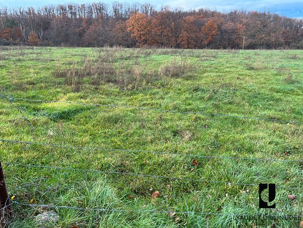 Terrain Vente Parigny  516m² 56000€