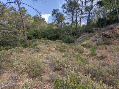 TERRAIN CONSTRUCTIBLE - 3.750m2 - LE LUC EN PROVENCE