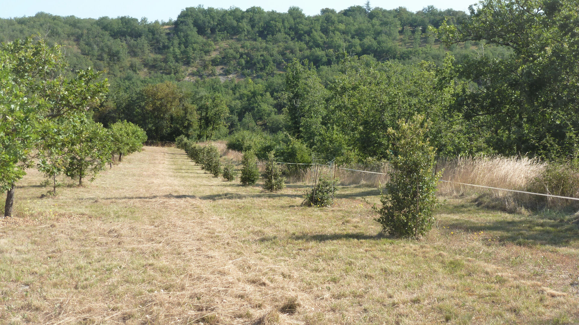 Terrain 13172 m²