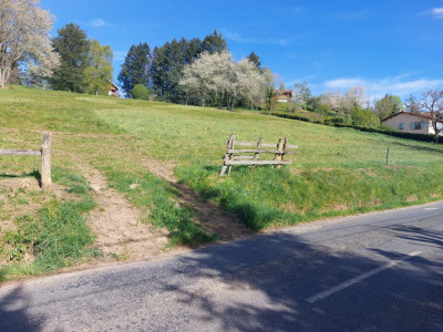 Terrain Vente Saint-Clément-de-Vers  6350m² 75500€