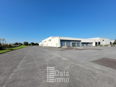 Local commercial 3808 m²