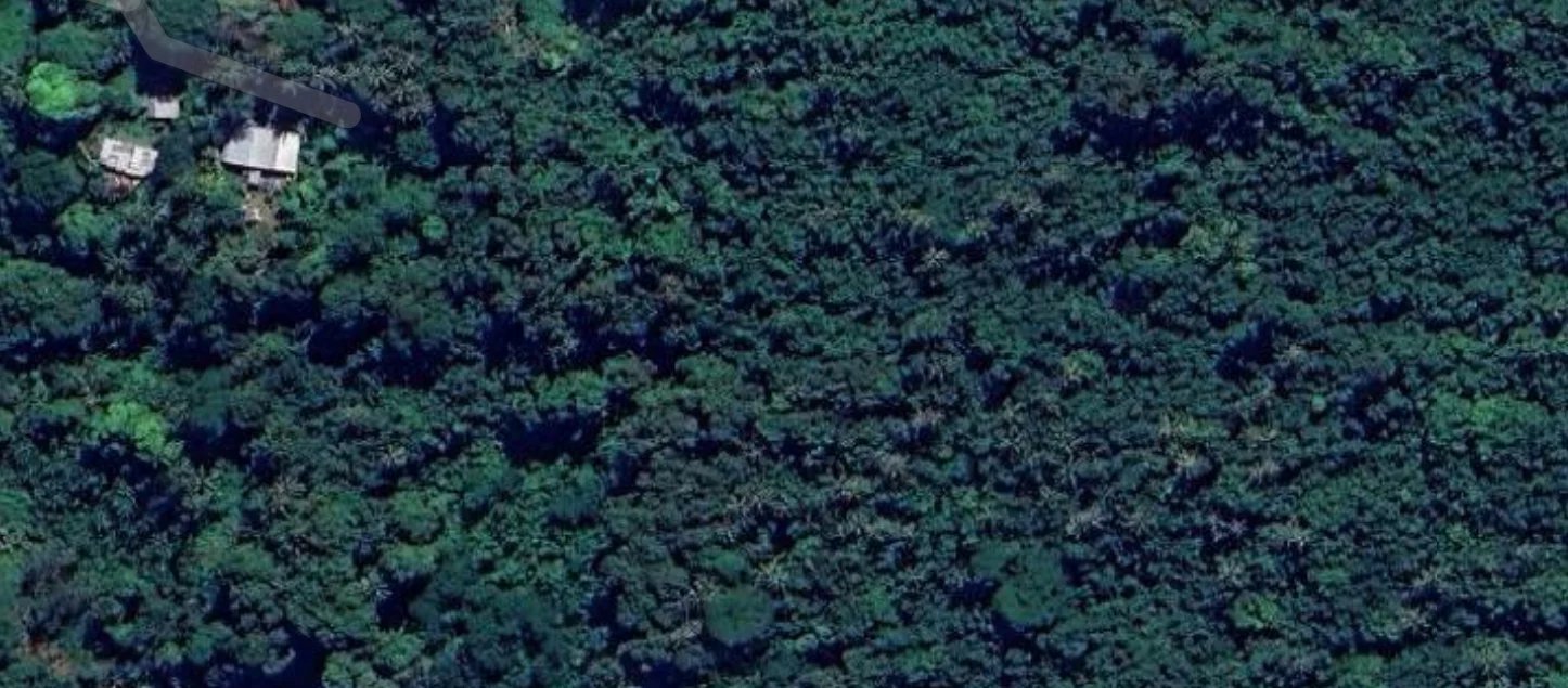 🌿 Paradis préservé à Moorea, où la nature règne en majesté ! 