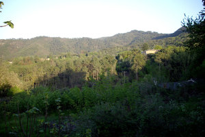 A 15 km d'Alès, terrain à à bâtir de 1365 m2